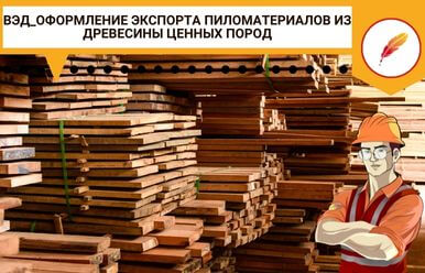 ВЭД_Оформление экспорта пиломатериалов из древесины ценных пород