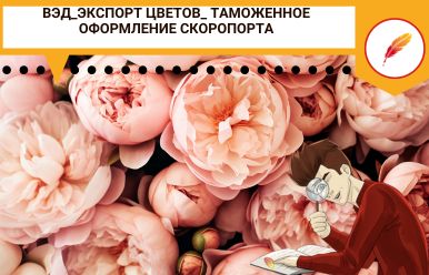 ВЭД_Экспорт цветов_ таможенное оформление скоропорта