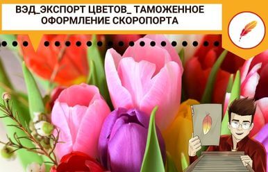 ВЭД_Экспорт цветов_ таможенное оформление скоропорта